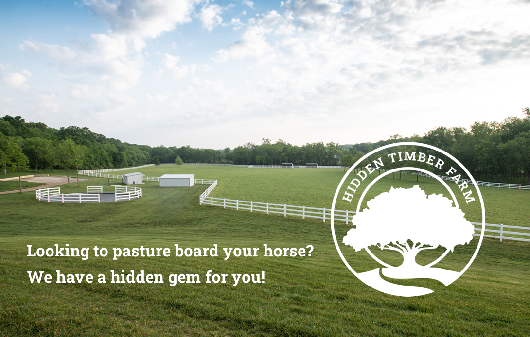 Pasture, tack lockers, round pen and run-in sheds at Hidden Timber Farm pasture boarding